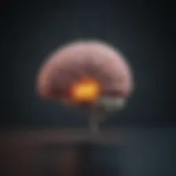 A brain highlighting cognitive processes affected by chemotherapy