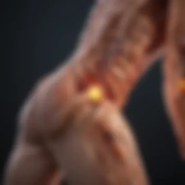 Mechanisms of Chronic Inflammatory Pain Conceptual illustration of chronic inflammatory pain mechanisms