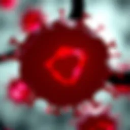 Understanding Chronic Lymphocytic Leukemia: Insights and Implications Introduction