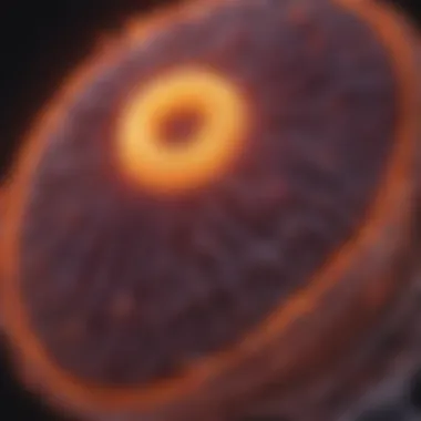 Visualization of diagnostic methods for pancreatic cysts