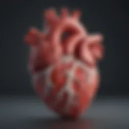 A healthy canine heart