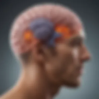 Diagram showing the benefits of DHA on brain functions