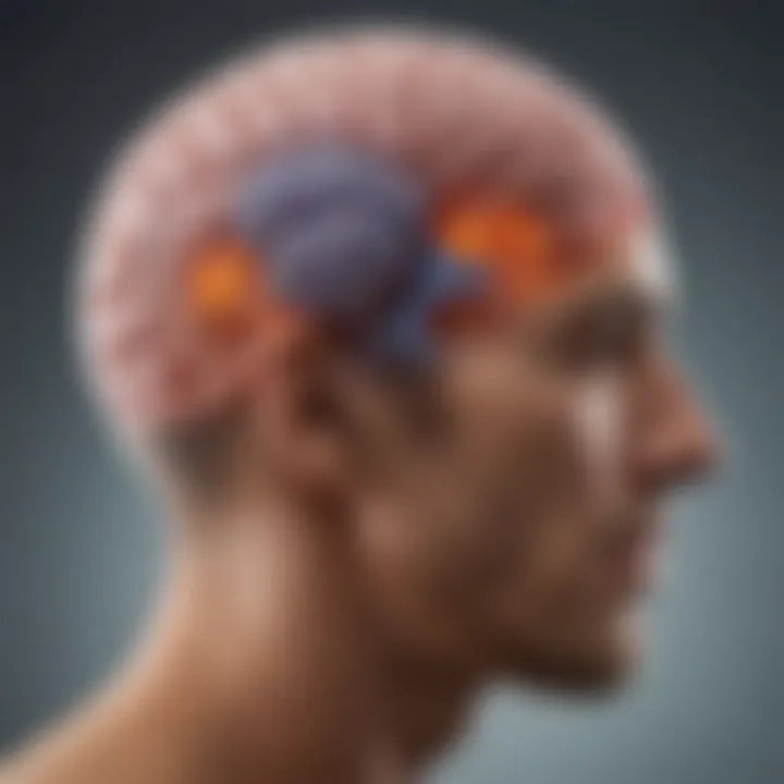 Diagram showing the benefits of DHA on brain functions