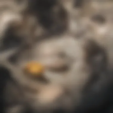 Dinosaur Nesting Behaviors An illustration depicting a dinosaur nesting site with eggs in a prehistoric environment.