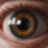Detailed diagram showcasing the anatomy of the eye relevant to distant vision