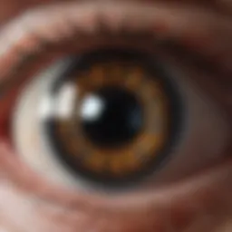 Detailed diagram showcasing the anatomy of the eye relevant to distant vision
