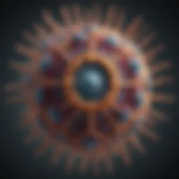 Illustration of the Epstein-Barr virus structure