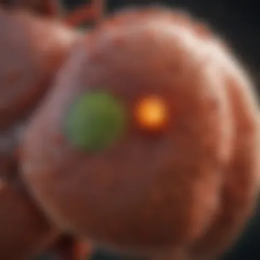 Visual representation of environmental toxins impacting liver function