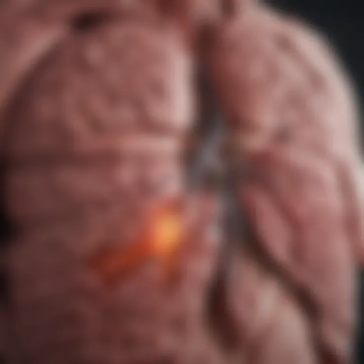 Chart displaying common medical conditions affecting liver levels