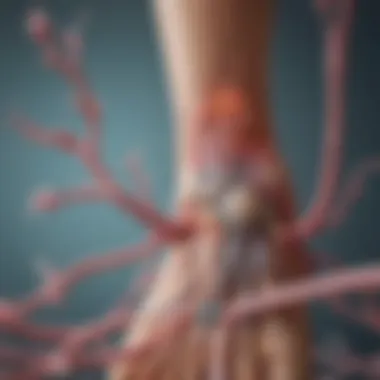 Illustration depicting the biochemical pathways involved in gout disease