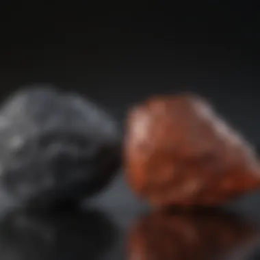 Haem Iron vs Non-Haem Iron Comparison of haem iron and non-haem iron