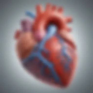 Anatomy of a Hypertrophied Heart Illustration depicting the anatomy of a heart with hypertrophy