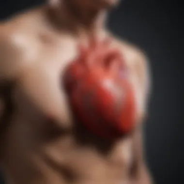 Contributing Factors to Heart Hypertrophy Infographic on contributing factors to heart hypertrophy