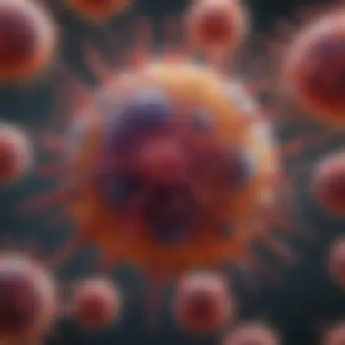 Diagram illustrating the immune response triggered by lymphocytes