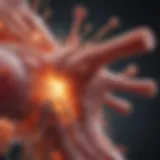 Infographic illustrating the complex mechanisms of internal inflammation