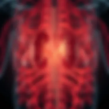 Understanding Kidney Disease: An In-Depth Exploration Summary