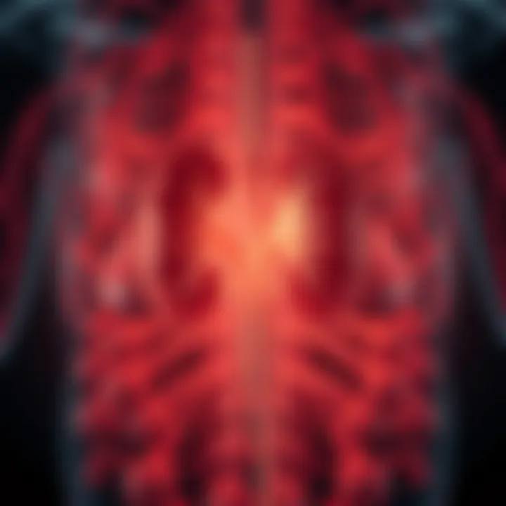 Understanding Kidney Disease: An In-Depth Exploration Summary