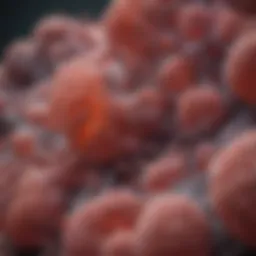 Illustration showcasing the structural composition of liver cells.