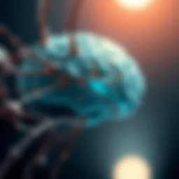 Understanding Localized Related Epilepsy: Insights and Implications Introduction