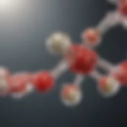 Molecular structure of folic acid highlighting its essential components
