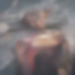 Conceptual representation of mental health and sexual wellness