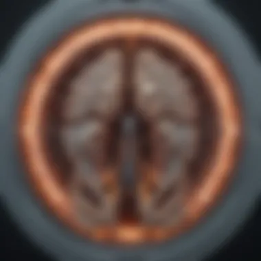 MRI scan depiction illustrating detailed images of internal structures