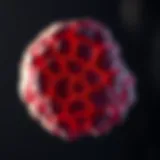 Understanding Melanoma: Age-Related Risks and Insights Introduction