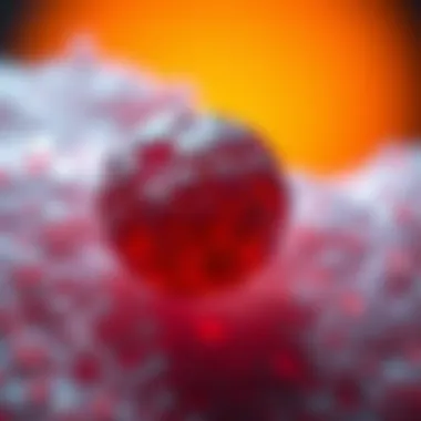 Understanding Melanoma: Age-Related Risks and Insights Summary Understanding Melanoma: Age-Related Risks and Insights Summary