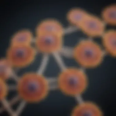 Diagram showing the formation of plaques in multiple sclerosis