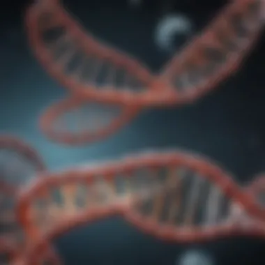 Causes of DNA Mutations Illustration showing the biological mechanisms causing DNA mutations