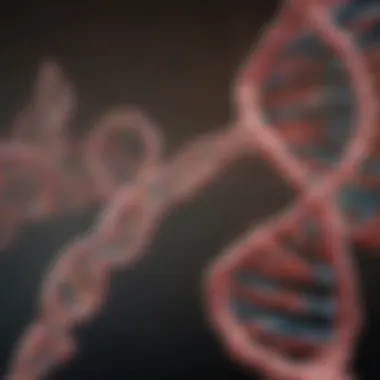 Health Implications of DNA Mutations Graphic depicting the implications of mutations on health and disease