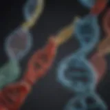 Diagram illustrating different types of DNA mutations