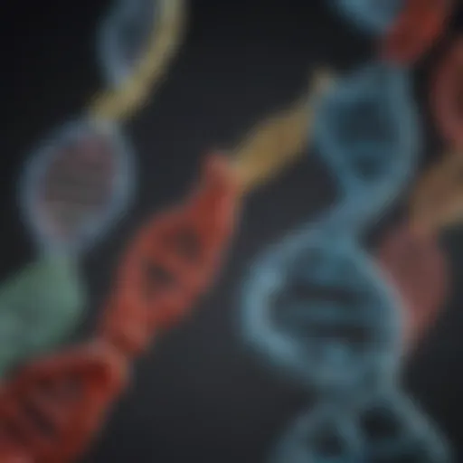 Diagram illustrating different types of DNA mutations