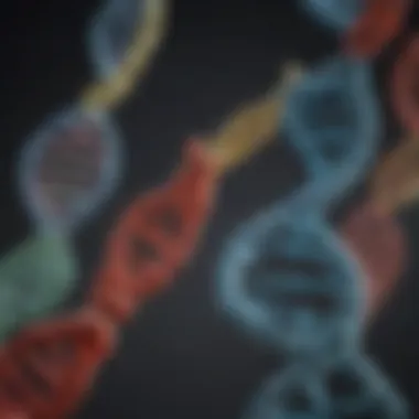 Types of DNA Mutations Diagram illustrating different types of DNA mutations