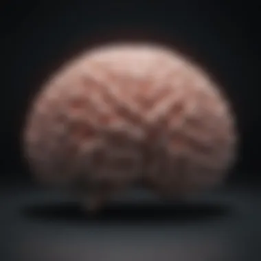 Brain Activity During Nighttime Mood Fluctuations Visualization of brain activity during nighttime mood fluctuations