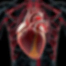 Illustration showing the heart with labeled ejection fraction zones