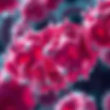 Graphic representation of Niemann-Pick Disease Type C cellular pathology
