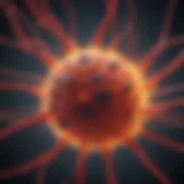 Inflammation Pathways and Their Impact Diagram showing inflammation pathways