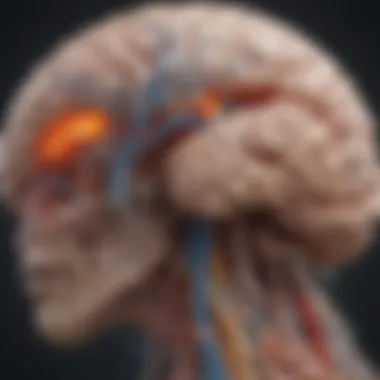 Neurological Connections in Palsy Illustration depicting the brain regions associated with palsy