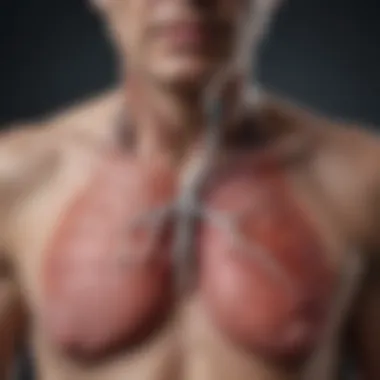 Causes of Paraseptal Emphysema Infographic highlighting causes of paraseptal emphysema