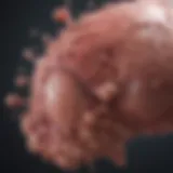 Graphical representation of cancer classification