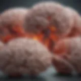 Insightful diagram of brain cancer types