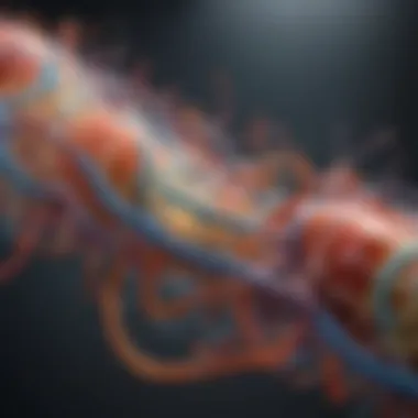 Key Metabolic Pathways in Protein Metabolism Diagram of metabolic pathways