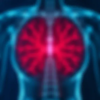 Common Radiology Terminologies Infographic on common terminologies in radiology