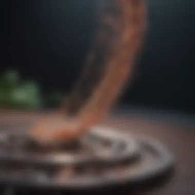 Revolutionizing Gene Editing A graphical representation of CRISPR technology in action