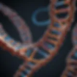 An intricate DNA double helix illustrating gene structure