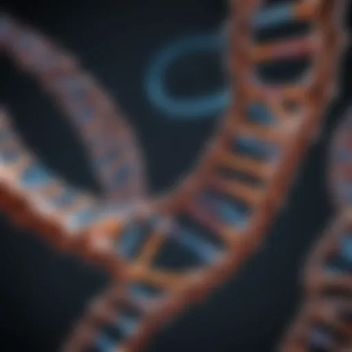 An intricate DNA double helix illustrating gene structure