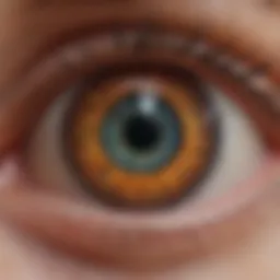 Visual representation of retinal degeneration in retinitis pigmentosa