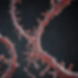 Visualization of RNA integrity from FFPE samples