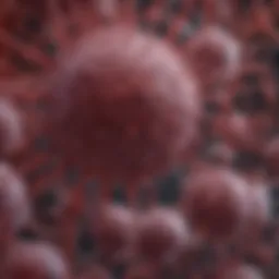 Detailed overview of Sciencell Endothelial Cell Medium components